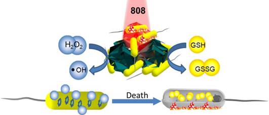 说明: E:\论文\MoS2-antibacteria\6\抗菌文章-尹文艳\TOC.jpg