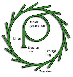 Schematic of a synchrotron showing the linear accelerator, booster synchrotron and storage ring.