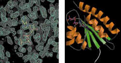 electron density map, tertiary structure