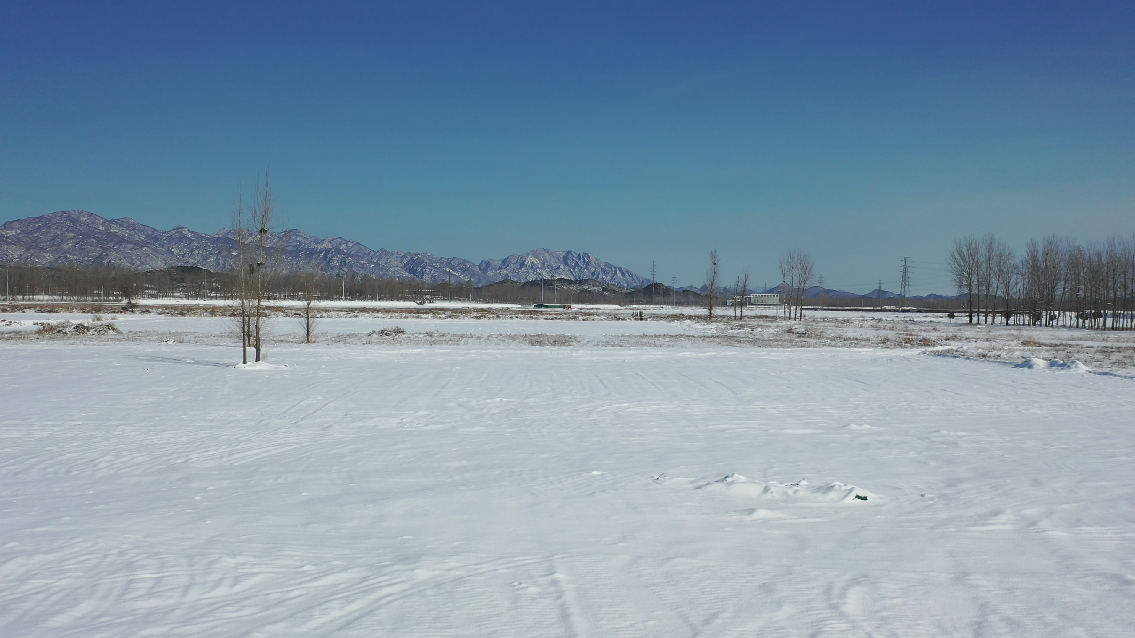 雪景 拍摄于2019-2-15.jpg