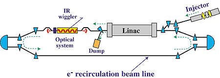 Schematic of the FEL